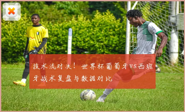 技术流对决！世界杯葡萄牙vs西班牙战术复盘与数据对比