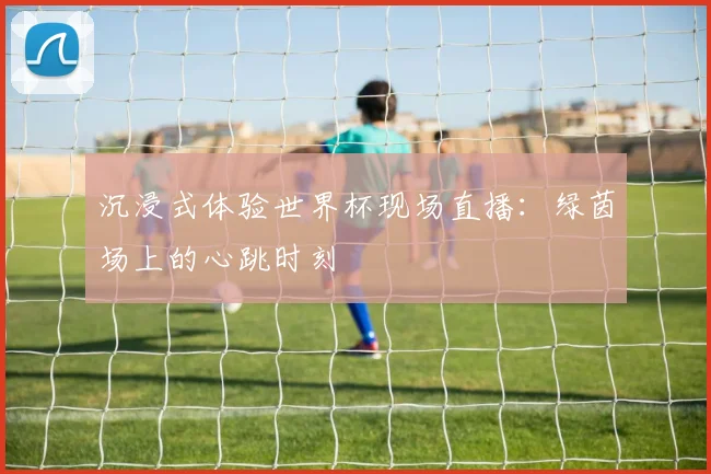 沉浸式体验世界杯现场直播:绿茵场上的心跳时刻