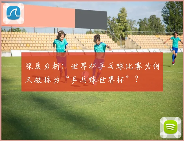 深度分析:世界杯乒乓球比赛为何又被称为“乒乓球世界杯”?