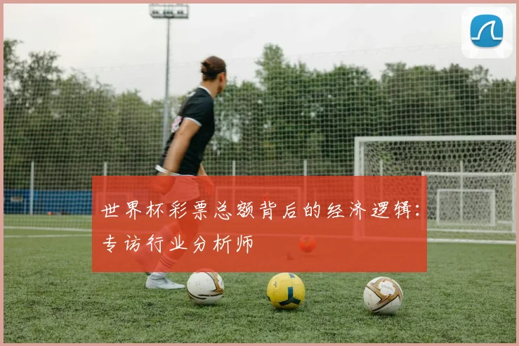 世界杯彩票总额背后的经济逻辑：专访行业分析师