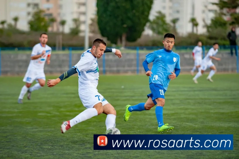 开云账号中心登录入口APP 封面图